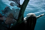 reclamation-jason-decaires-taylor-sculpture2
