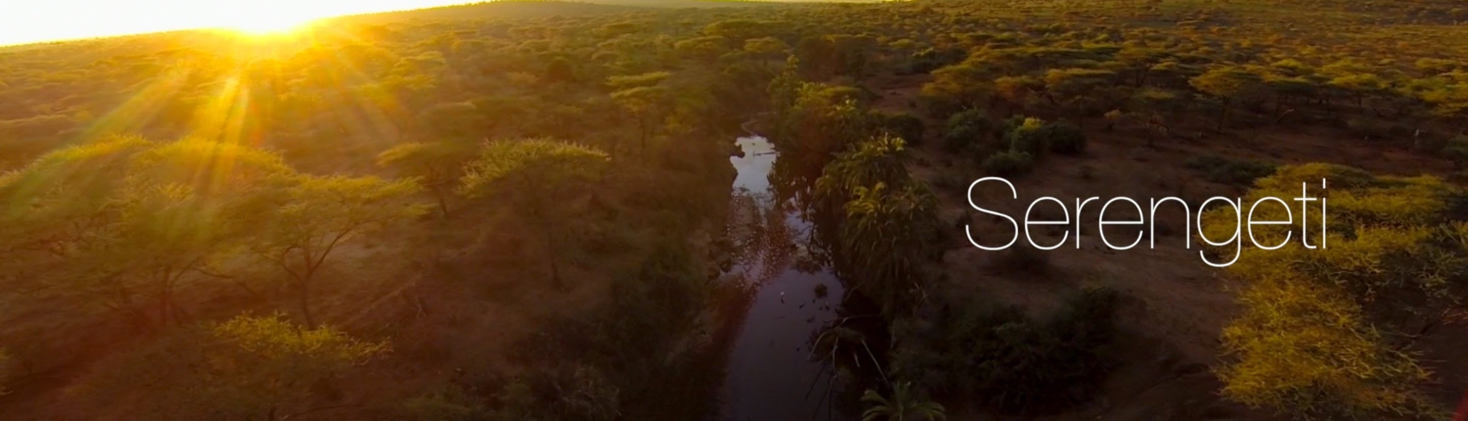 serengeti flight